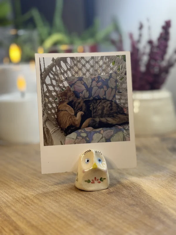 Baykuş Fotoğraf-Not Tutucu | Flamio Studio