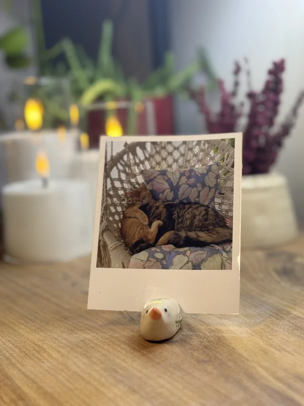 Kuş Fotoğraf-Not Tutucu | Flamio Studio