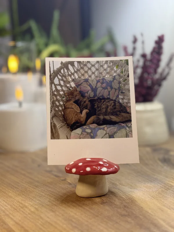 Mantar Fotoğraf-Not Tutucu | Flamio Studio