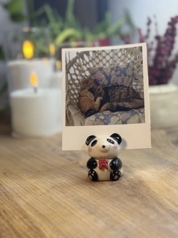 Panda Fotoğraf-Not Tutucu | Flamio Studio