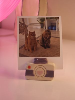 Mor Fotoğraf Makinesi Fotoğraf-Not Tutucu | Flamio Studio
