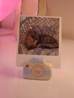 Mavi Fotoğraf Makinesi Fotoğraf-Not Tutucu | Flamio Studio
