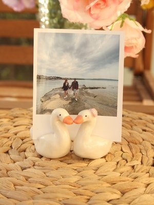 Kuğu Fotoğraf-Not Tutucu | Flamio Studio
