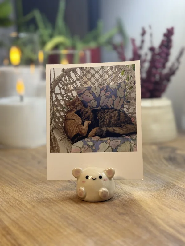 Tombul Kedi Fotoğraf-Not Tutucu