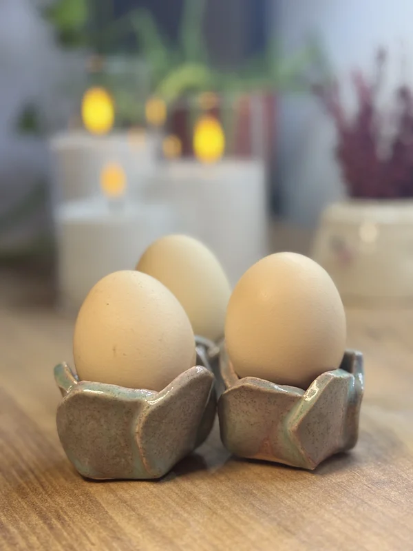 Tekli Yumurtalık | Flamio Studio