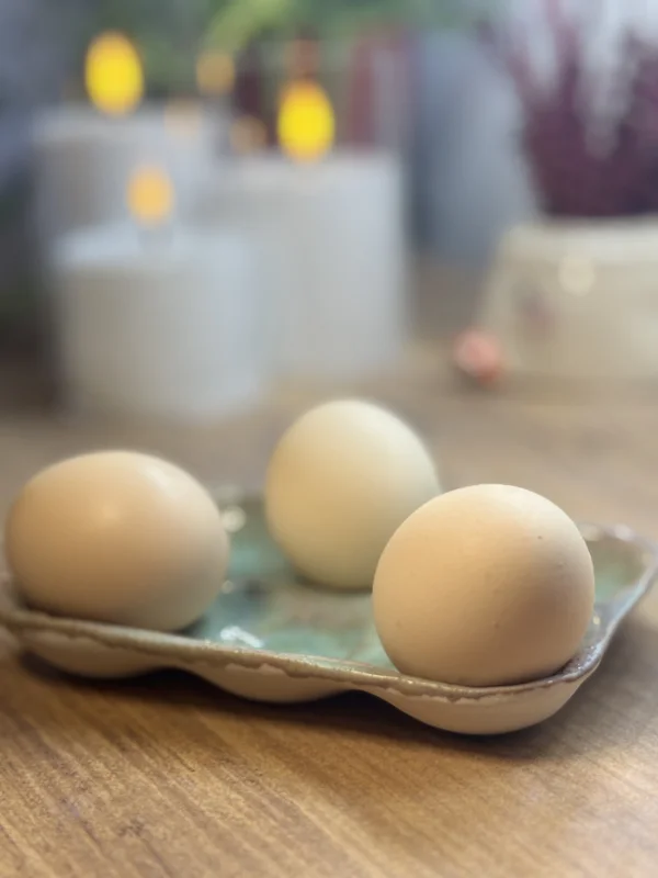 Çoklu Yumurtalık | Flamio Studio